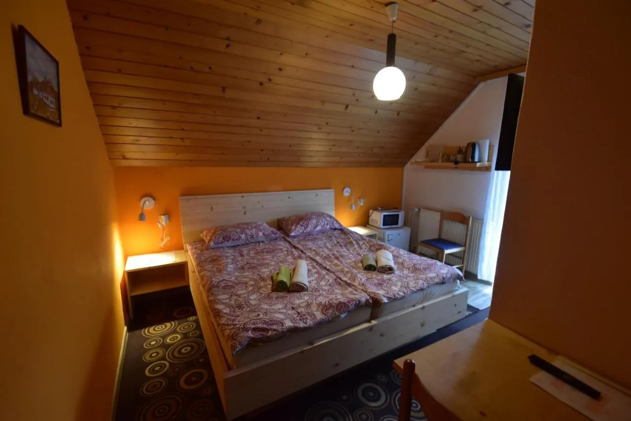 Soba 14 m² pod lesenim stropom z zakonsko posteljo